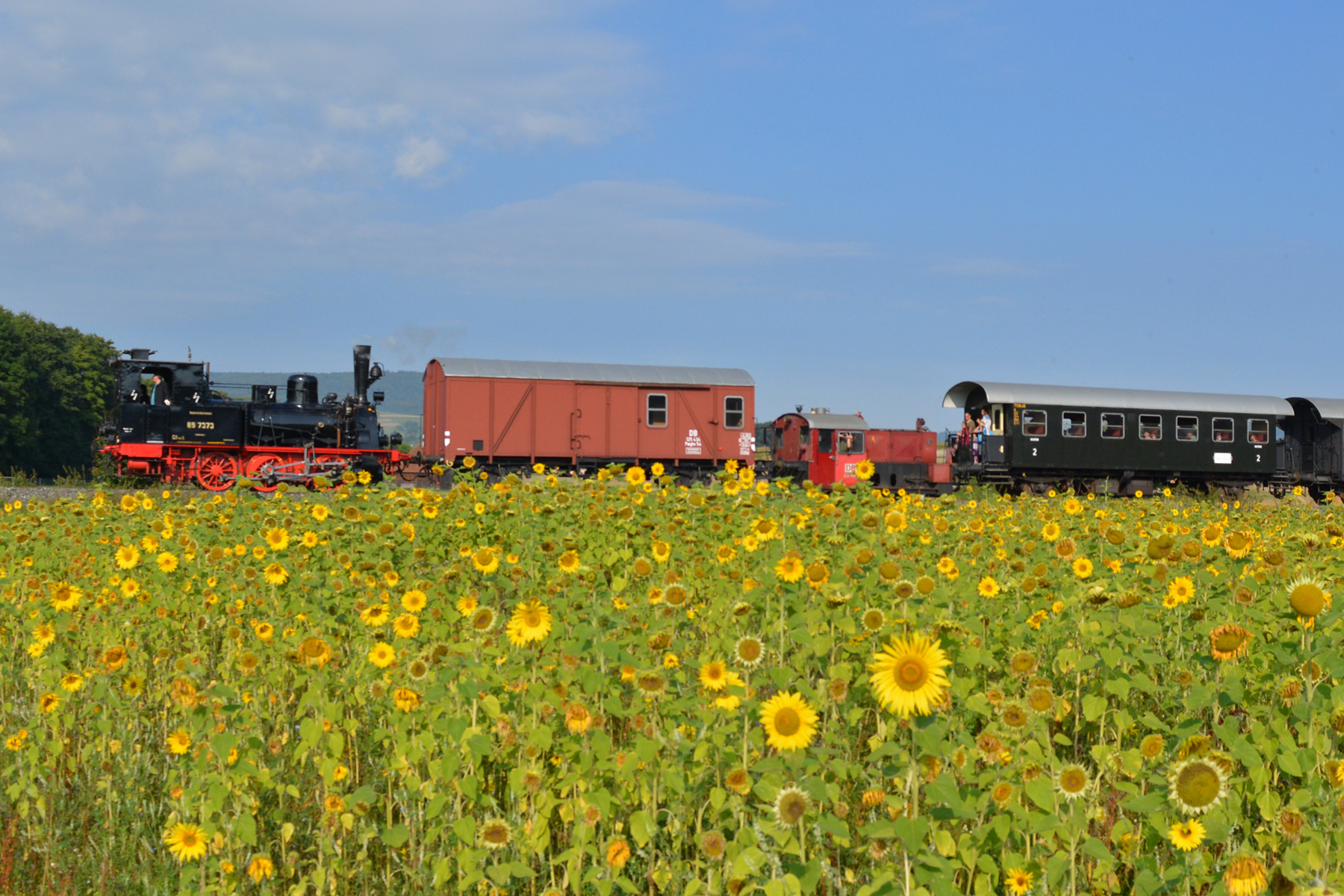 RhoenZuegle_Sonnenblumen_FotoJensEnglert