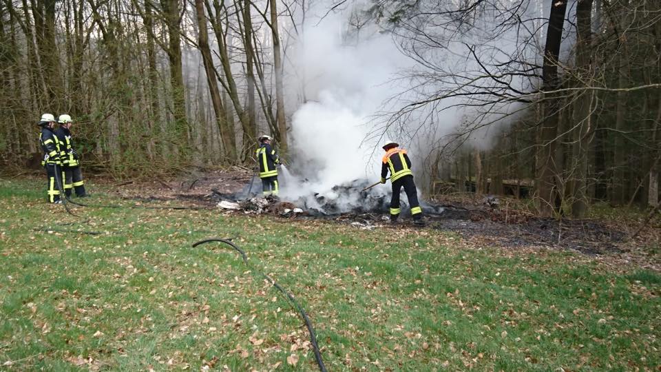 2019-04-06_Brand-Tann-Wald (4)