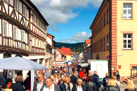 2019-04-25_Maimarkt_Tann3