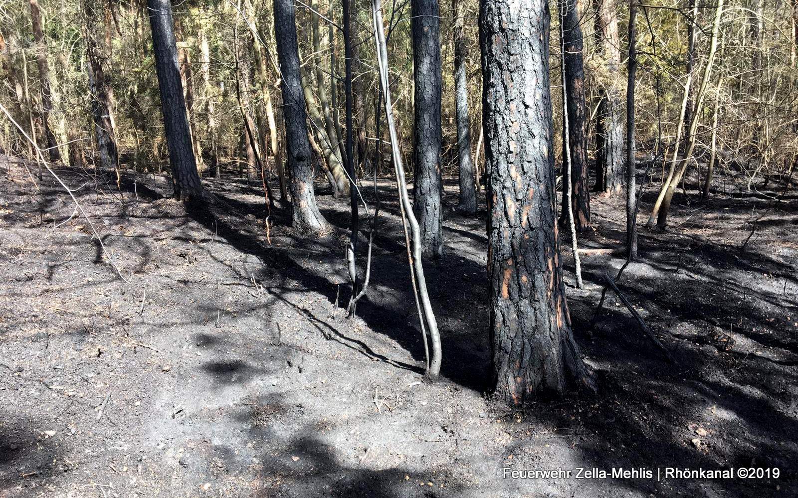 2019-04-26_Feuerwehr-ZellaMehlis-Plaue-Waldbrannt (6)