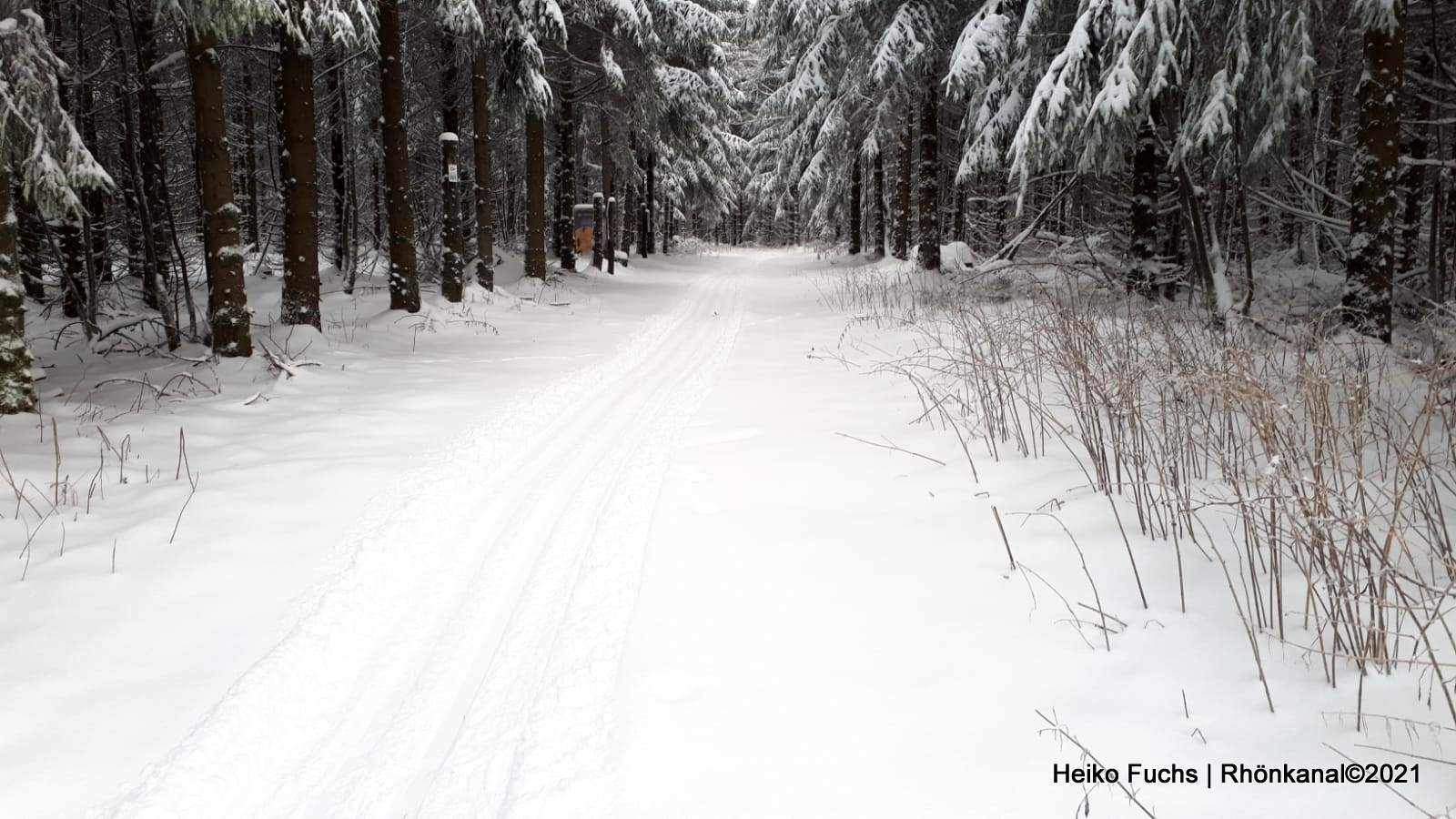 2021-01-12_Schnee-Ellenbogen-Heiko-Fuchs