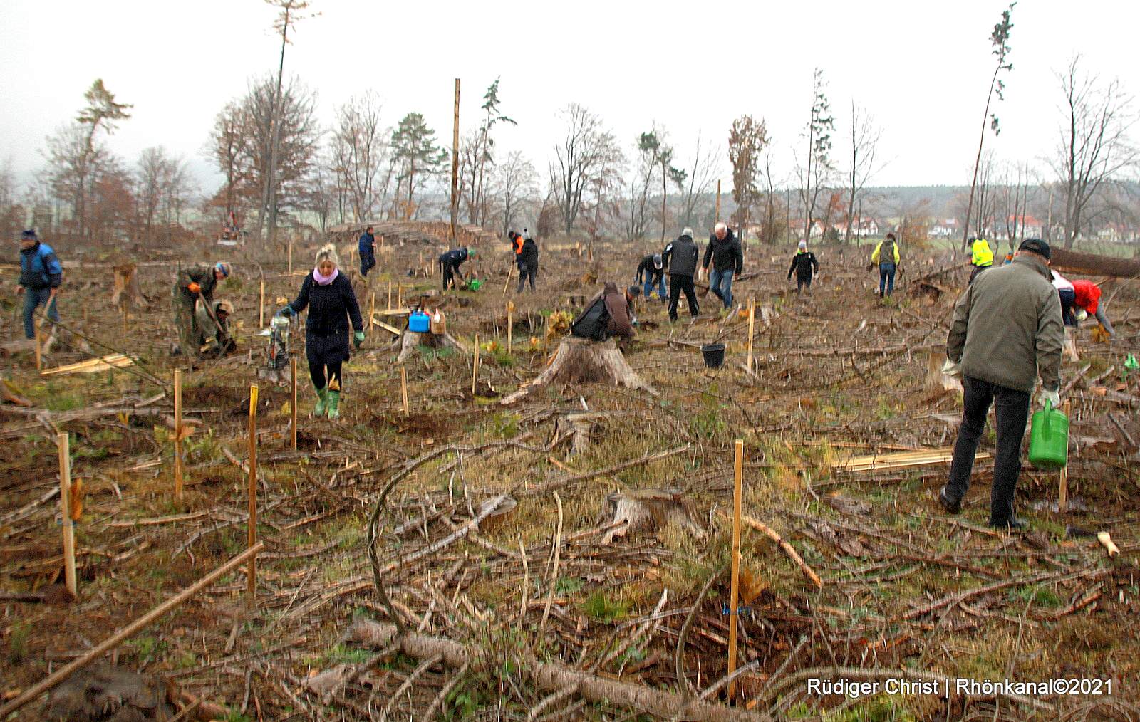 2021-11-22_Pflanzaktion-Stadtlengsfeld-Bürgerinitiative (6)