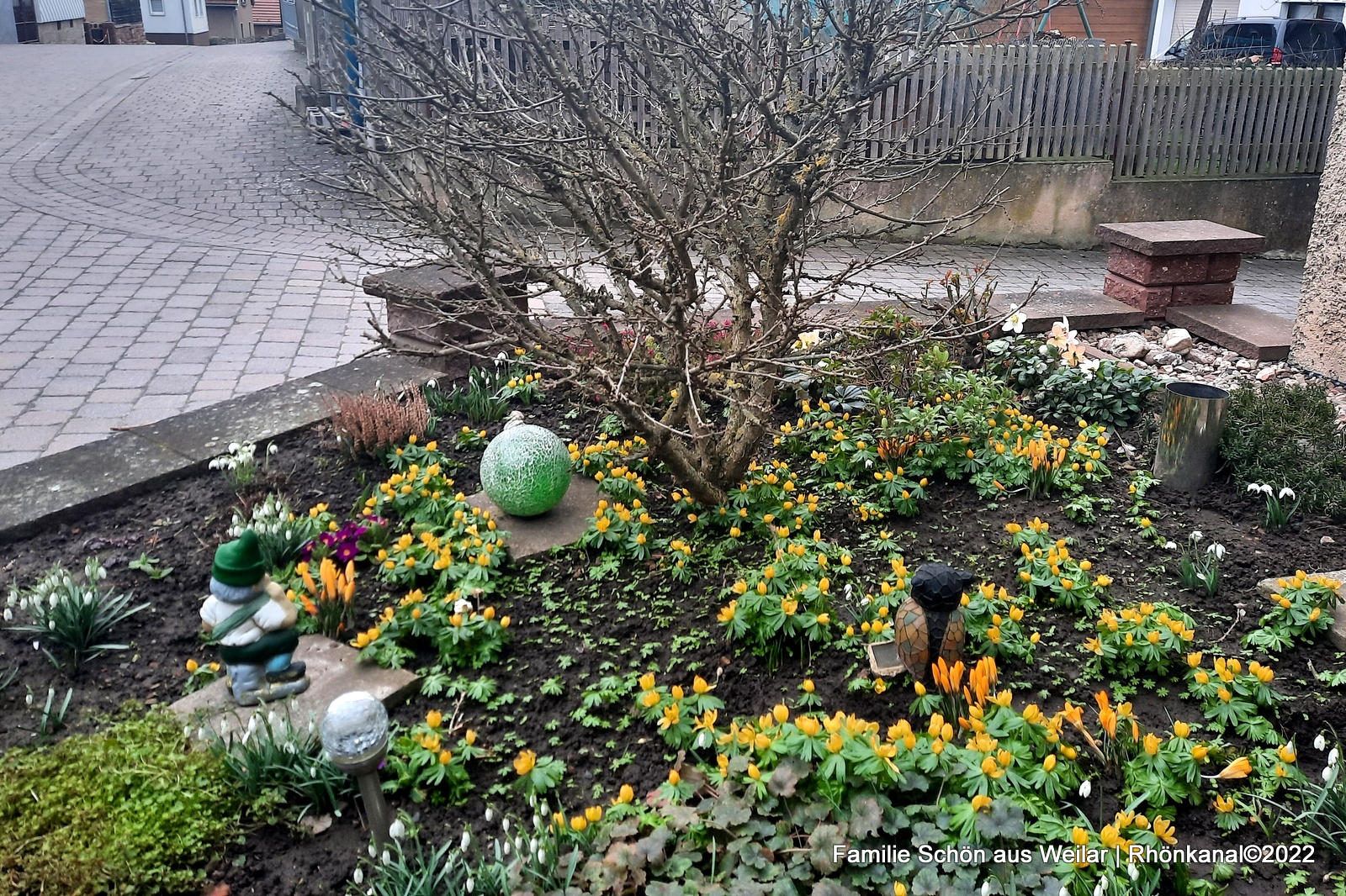 2022-02-28_Weilar_Garten_Frühling (1)