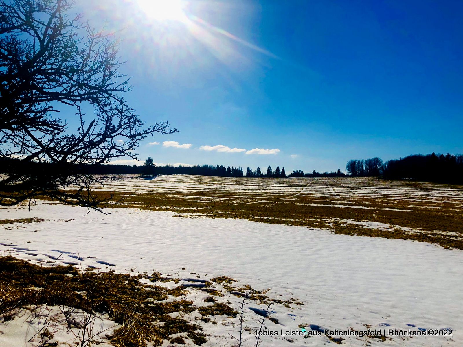 2022-03-01_Frühling_Frühlingsfotos_Natur_Kaltenlengsfeld (9)