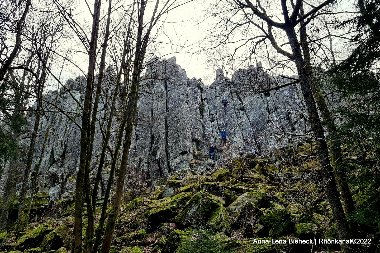 2022-03-31_Steinwand_Felswand_Rhön (1)