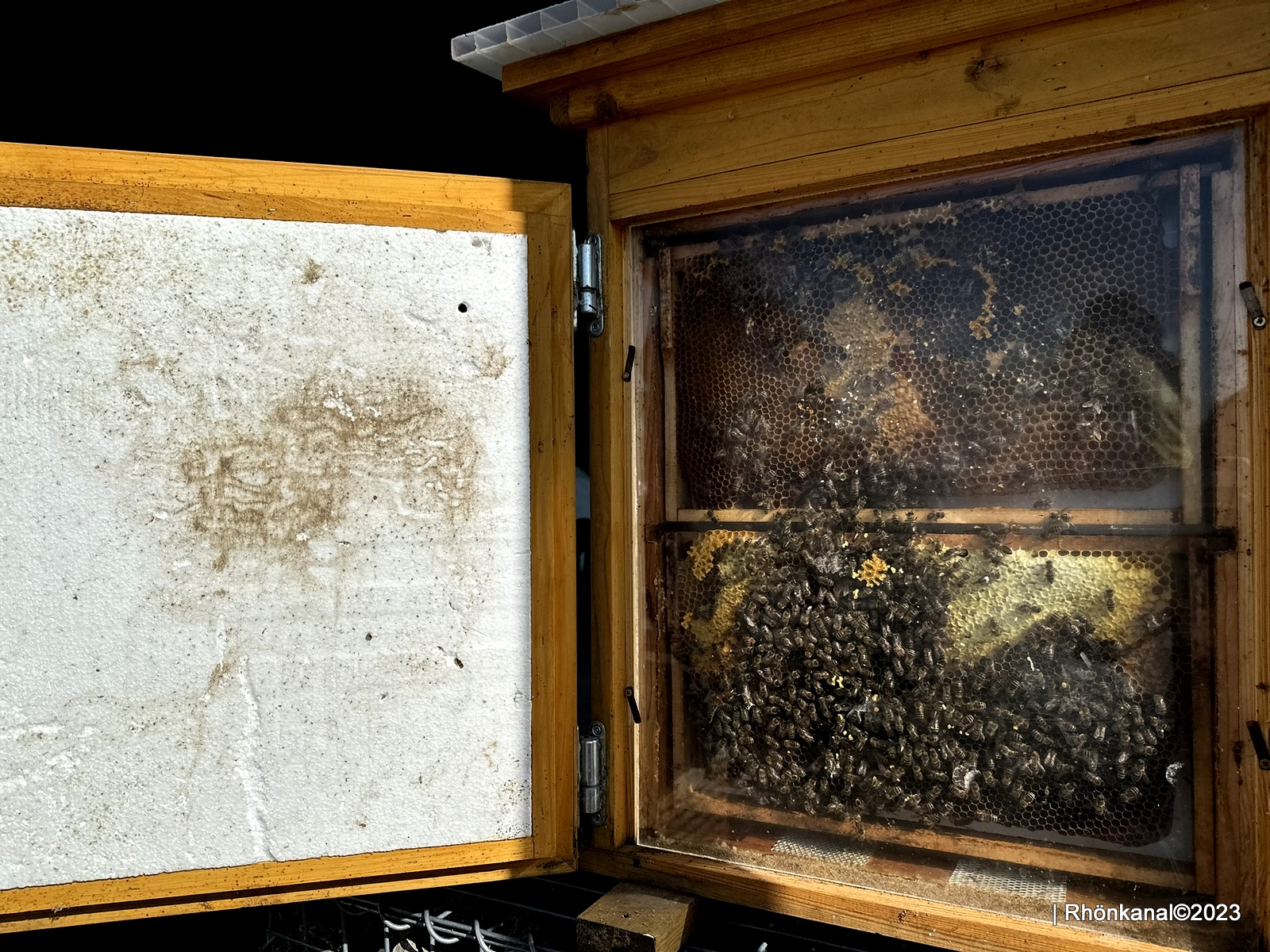 2023-07-01_Imker_Bienen_Honig_Kaltennordheim (12)