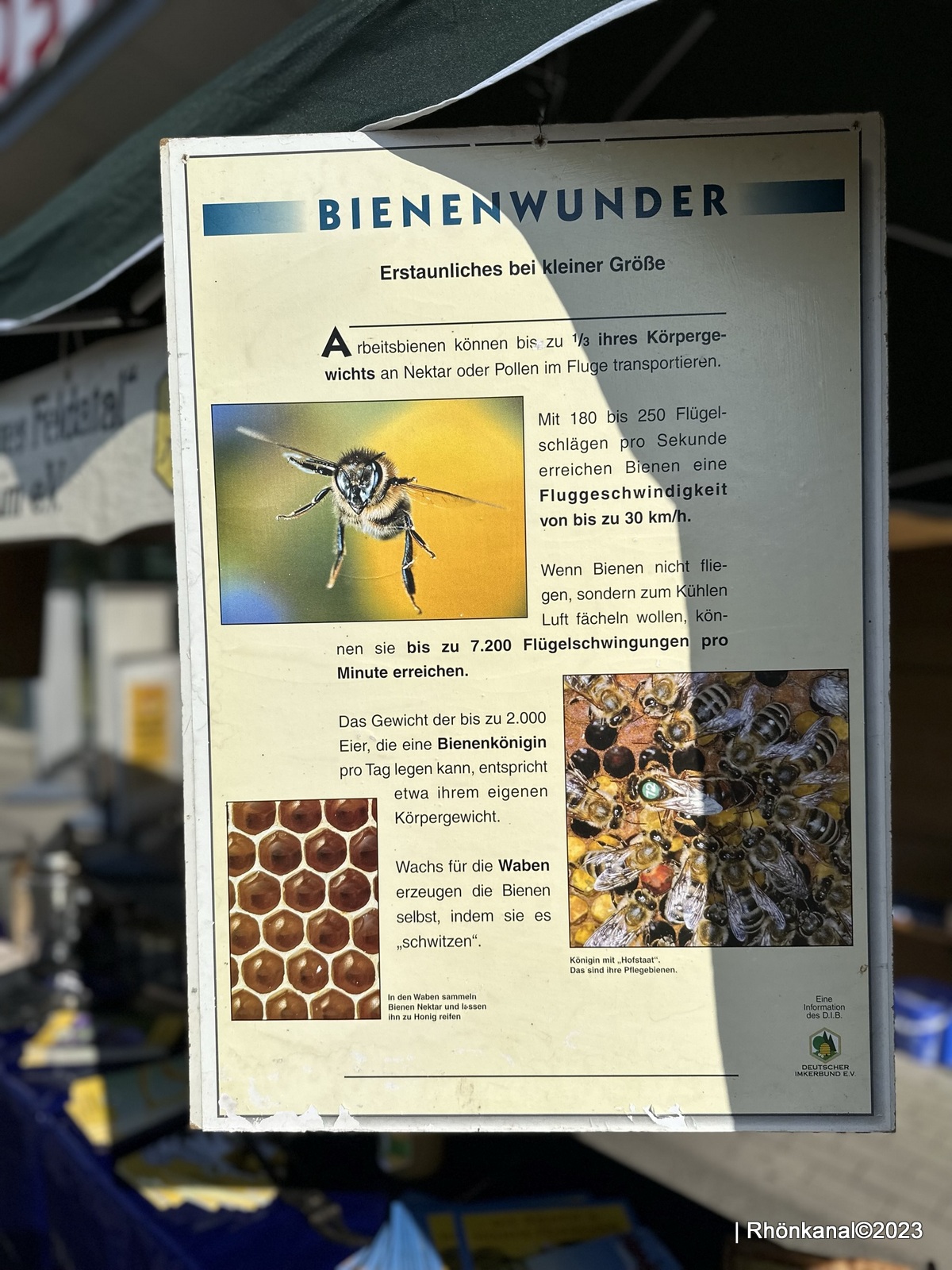 2023-07-01_Imker_Bienen_Honig_Kaltennordheim (7)