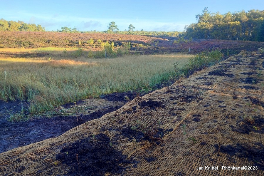 2023-11-15_Rotes Moor_Maßnahmen_Klimaschutz_Jan Knittel (2)