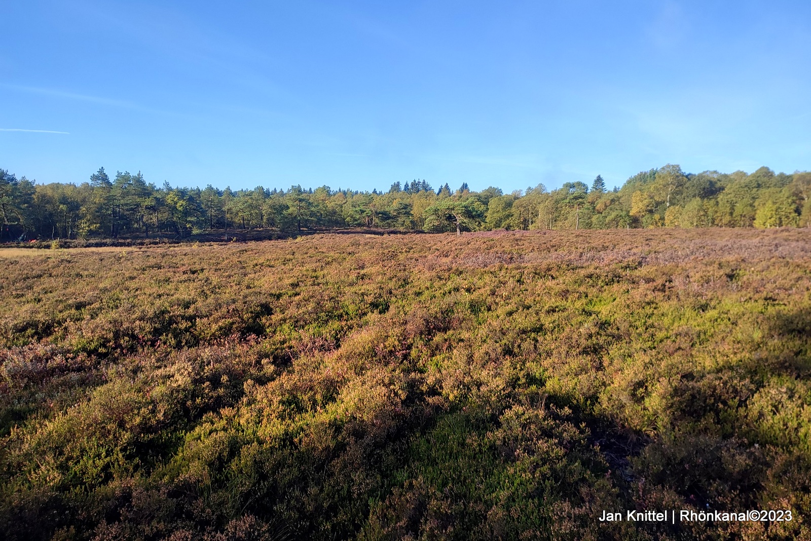 2023-11-15_Rotes Moor_Maßnahmen_Klimaschutz_Jan Knittel (3)