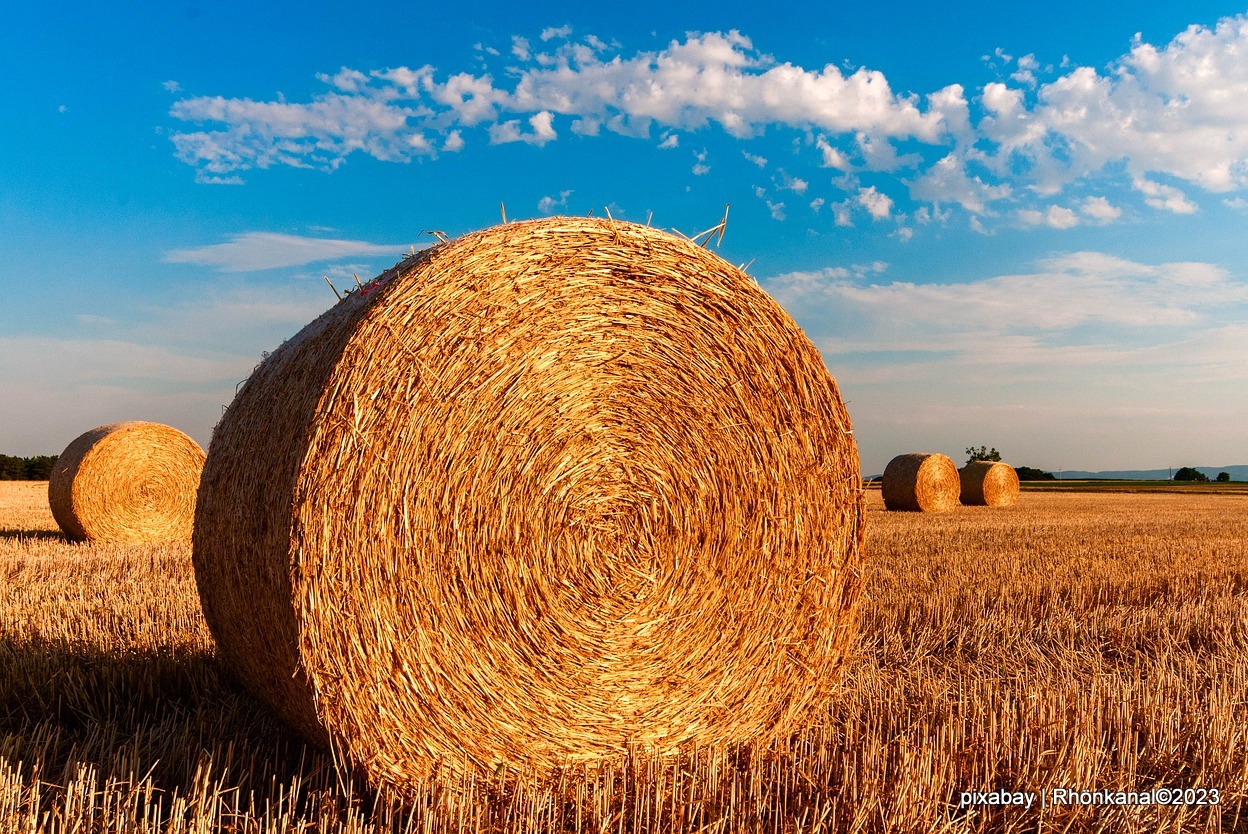 2023-11-24_Feld_Heu_Stroh_Ballen_Landwirtschaft_Bauer