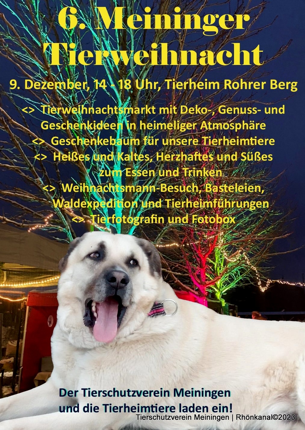 2023-12-04_Tierweihnacht_Meiningen_Tierschutzverein (5)