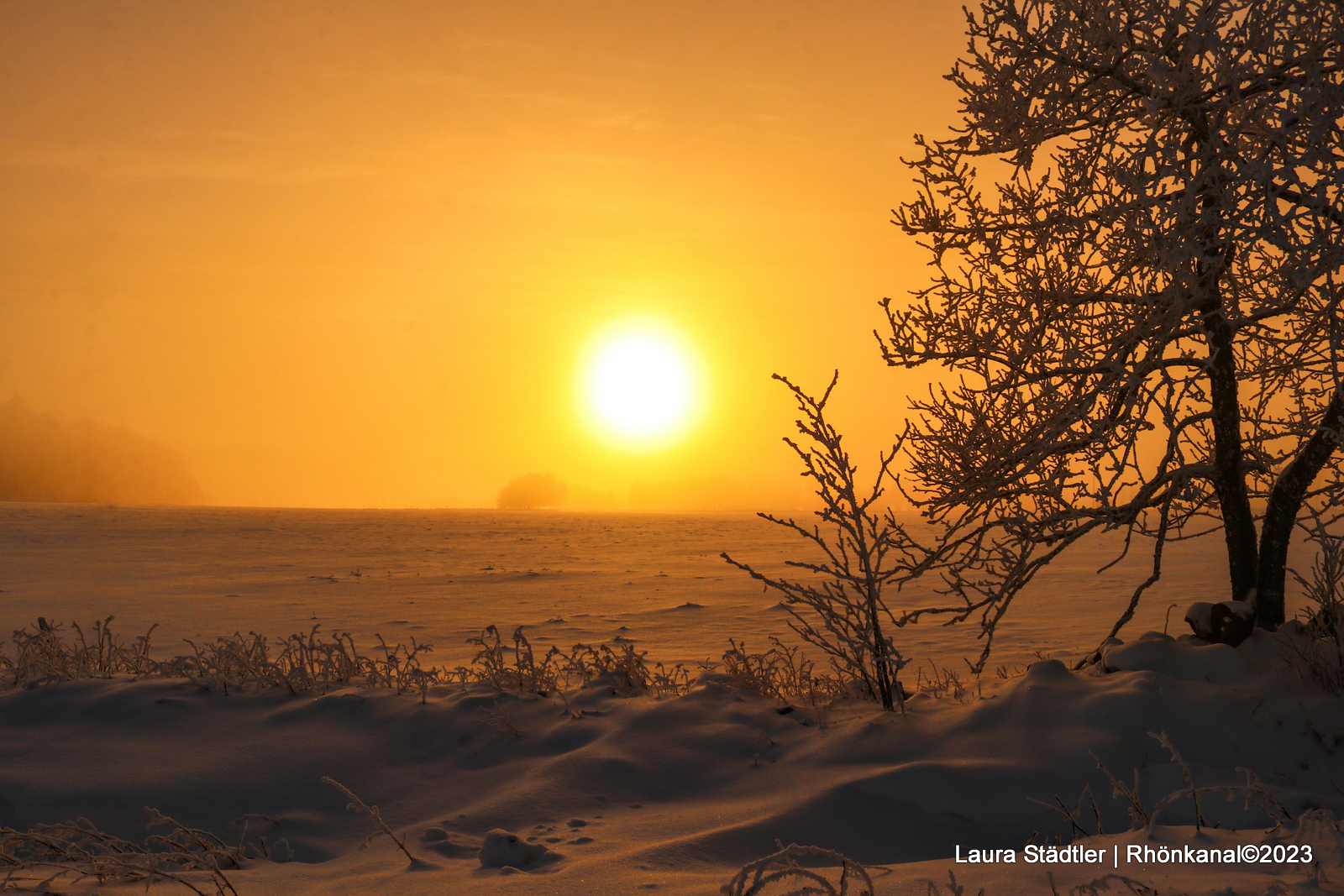 2023-12-04_Winter_Schnee_Birx_Sonnenuntergang (1)