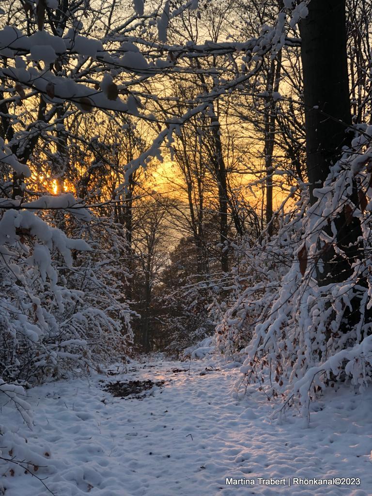 2023-12-08_Guck und Putschelweg_Kranlucken_Winter-Rhön (8)