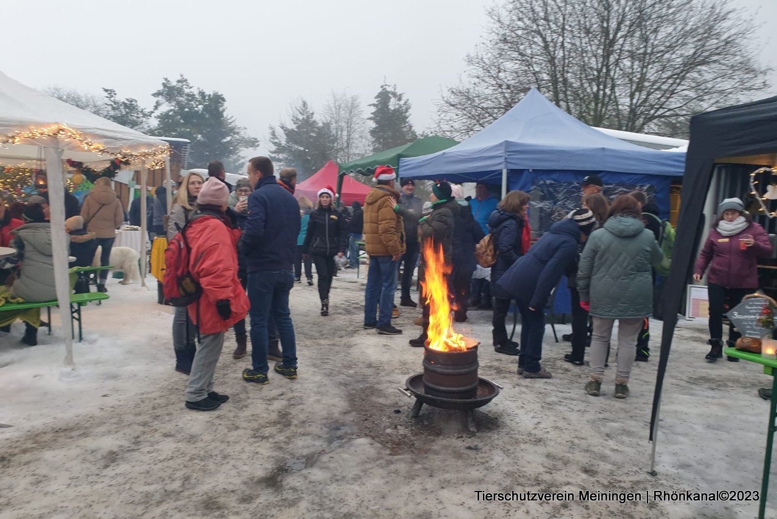 2023-12-11_Meiningen_Tierschutzverein_Tierweihnacht (10)