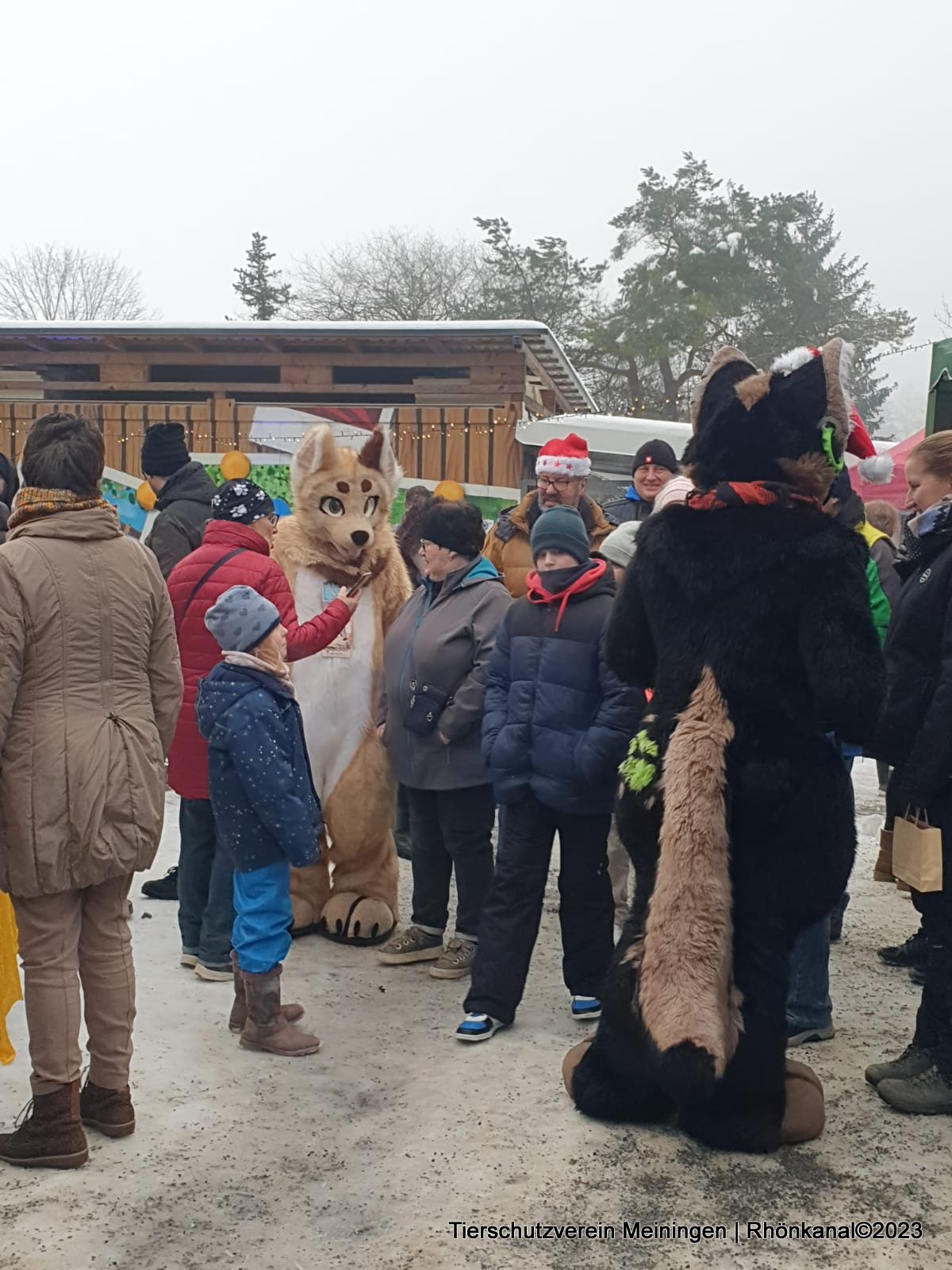 2023-12-11_Meiningen_Tierschutzverein_Tierweihnacht (6)