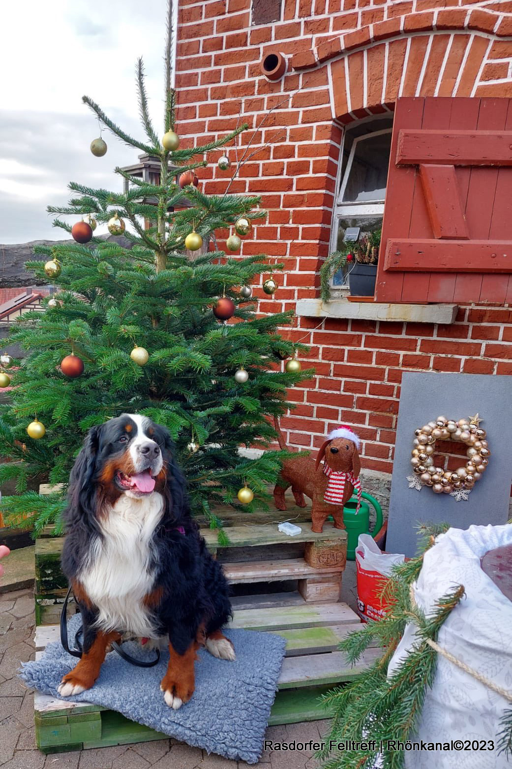 2023-12-18_Rasdorf_Felltreffen_Hunde_Gassi gehen (12)