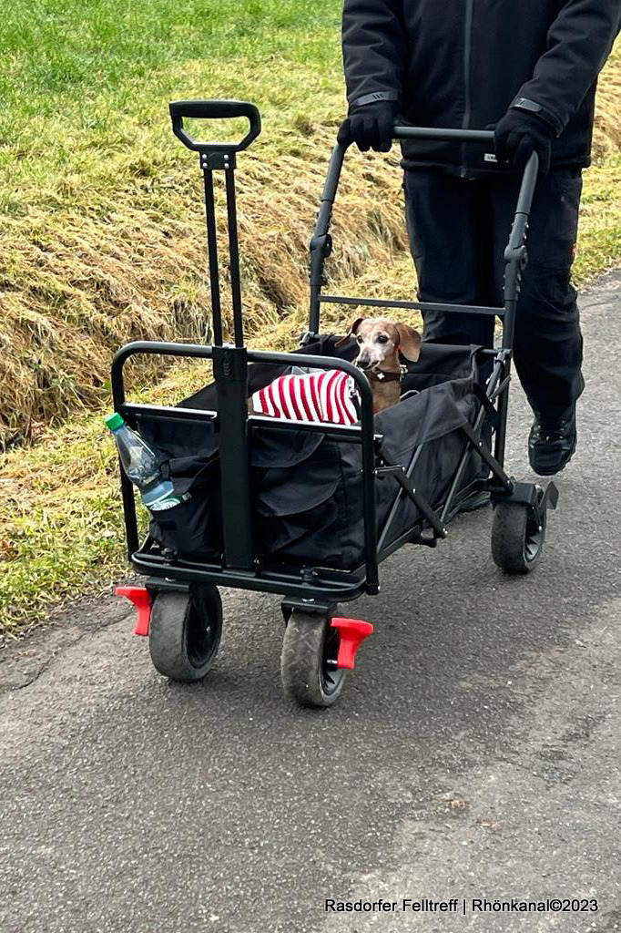 2023-12-18_Rasdorf_Felltreffen_Hunde_Gassi gehen (3)